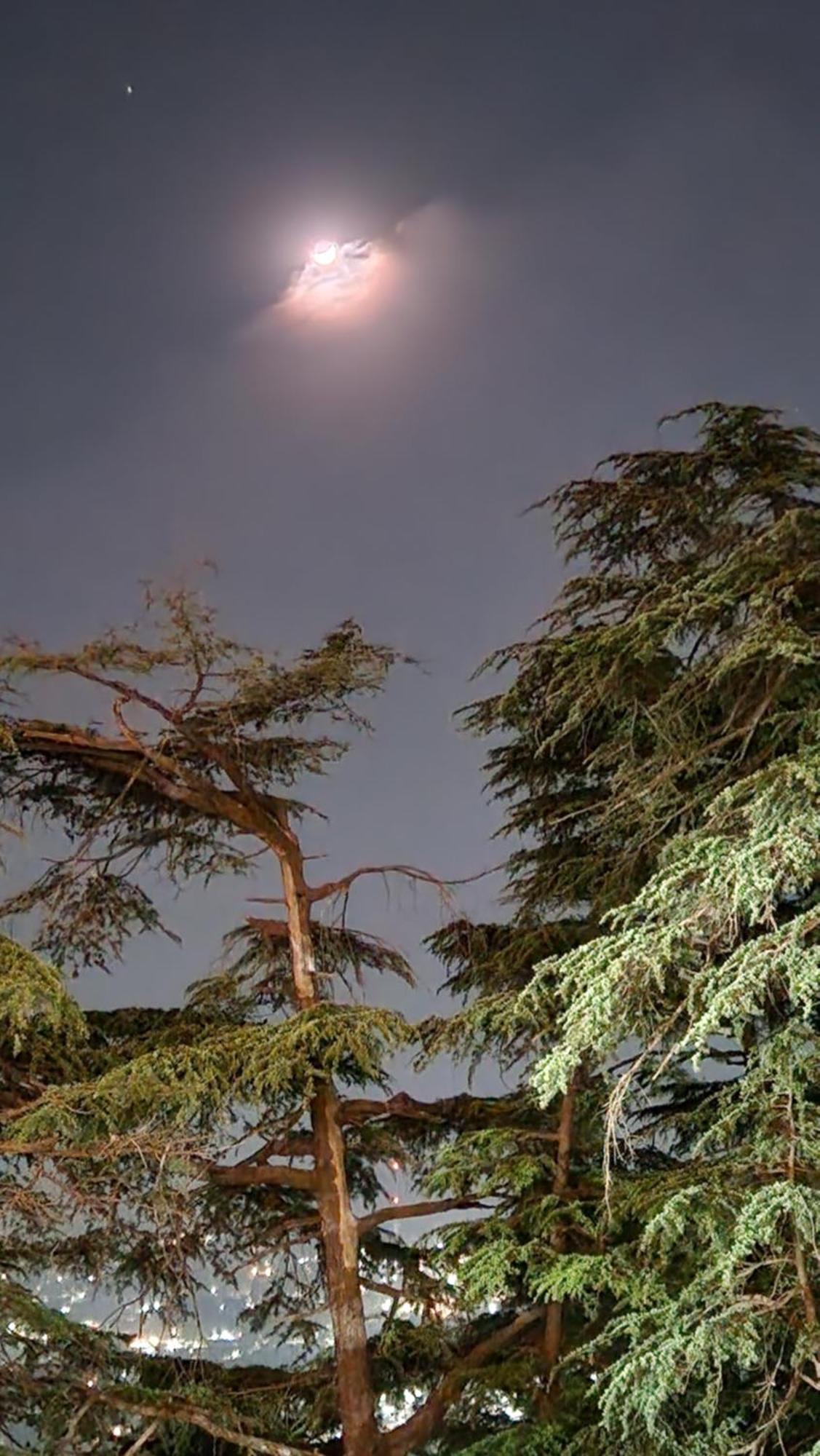 שימלה Glen View Heritage Homestay מראה חיצוני תמונה